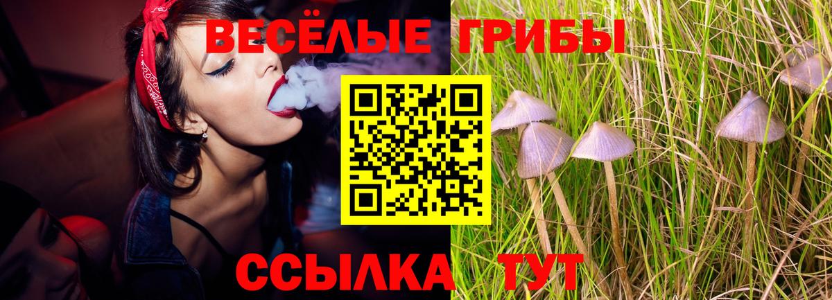 Галлюциногенные грибы Psilocybine cubensis  Вход с VPN  Якутск 